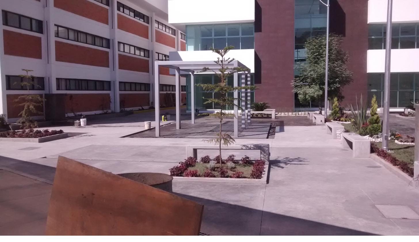Andadores de concreto estampado con jardineras y pérgolas